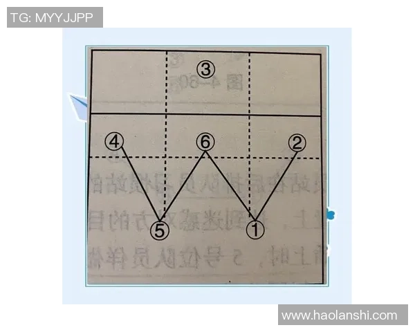 深圳排球队进攻战术解析与深度剖析排球竞技的魅力与挑战